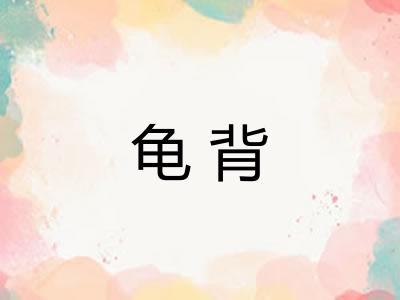 龟背