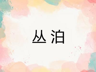 丛泊