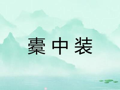 橐中装