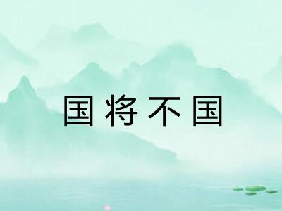 国将不国