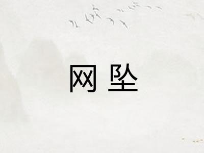 网坠