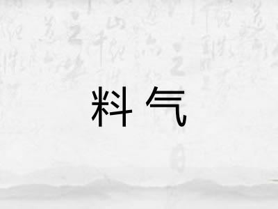 料气
