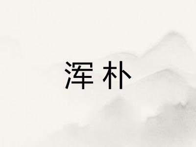 浑朴