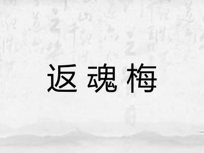 返魂梅