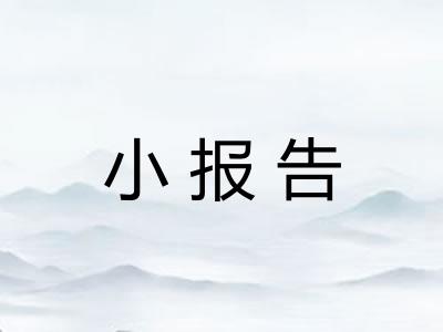 小报告