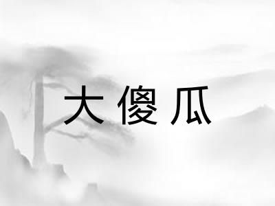 大傻瓜