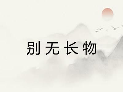 别无长物