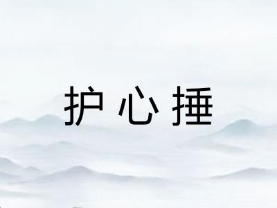 护心捶