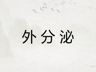外分泌