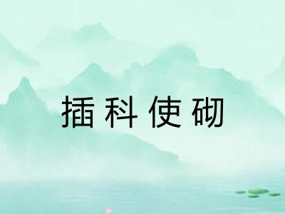 插科使砌