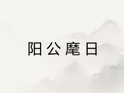 阳公麾日