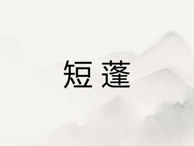 短蓬