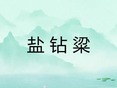 盐钻粱