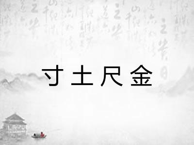 寸土尺金