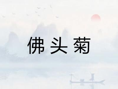 佛头菊