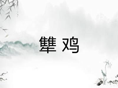 犨鸡