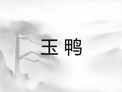 玉鸭