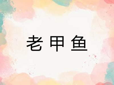 老甲鱼