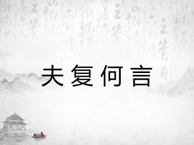 夫复何言