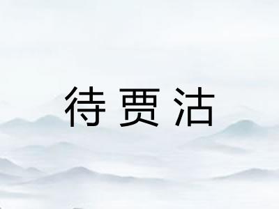 待贾沽