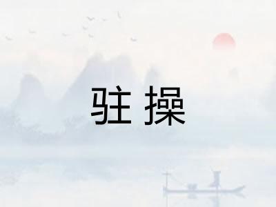 驻操