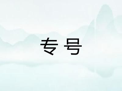 专号