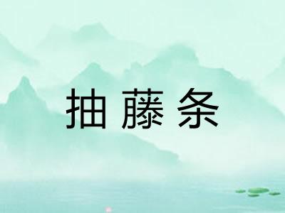 抽藤条