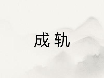 成轨