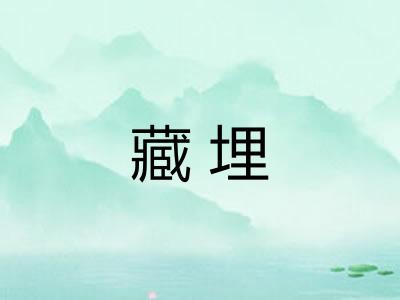 藏埋