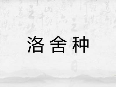 洛舍种