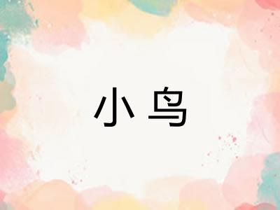 小鸟
