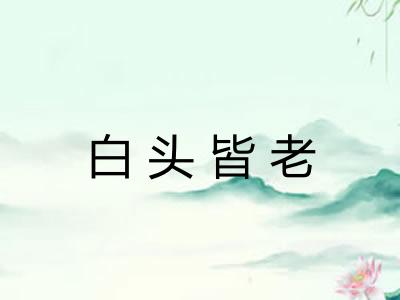 白头皆老