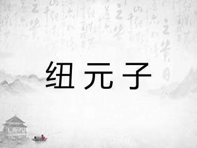 纽元子