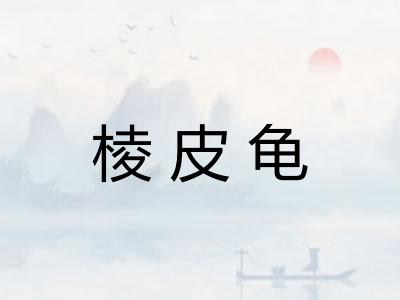 棱皮龟