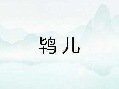 鸨儿