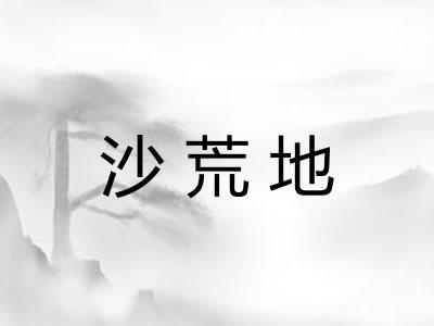 沙荒地