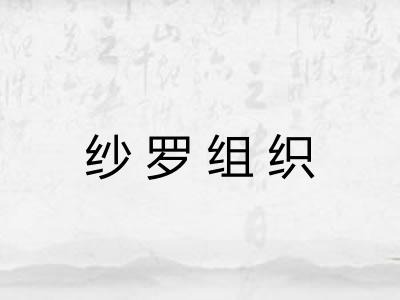 纱罗组织