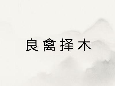 良禽择木