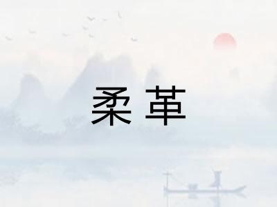 柔革