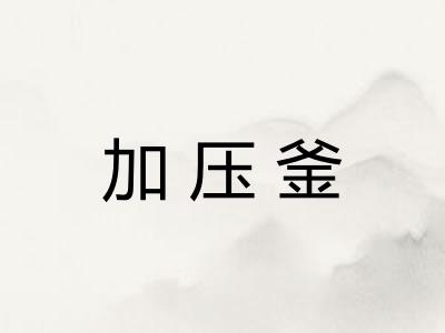 加压釜