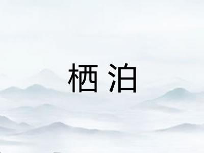 栖泊