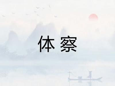 体察