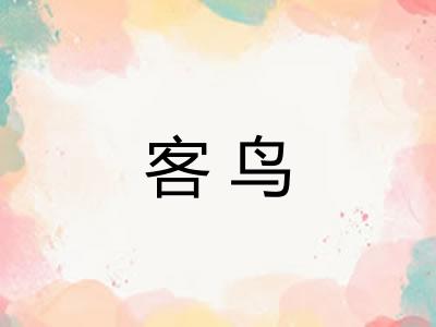 客鸟