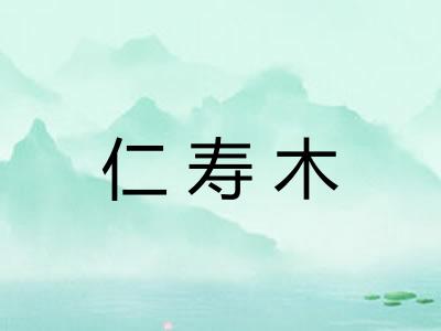 仁寿木