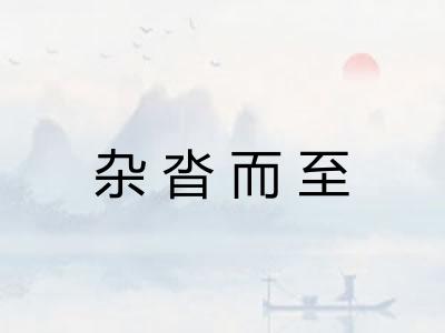 杂沓而至