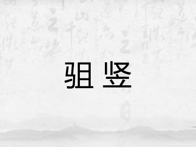 驵竖