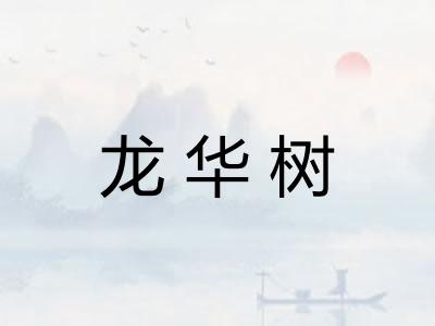 龙华树