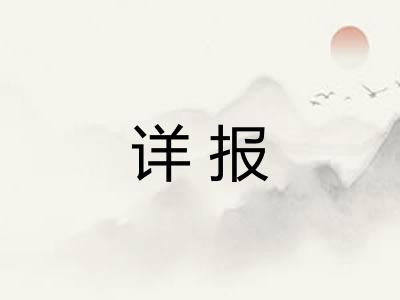 详报