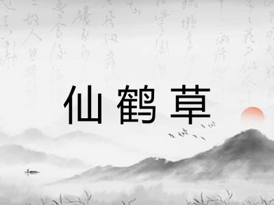 仙鹤草