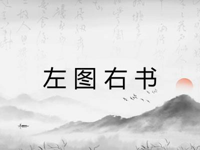 左图右书